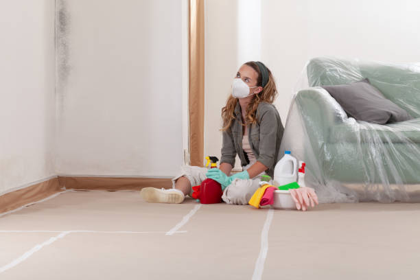 Reliable Mold Cleanup contractor in Clementon, NJ by WQB Mold Removal